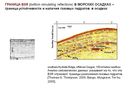 ГРАНИЦА BSR (bottom simulating reflections) В МОРСКИХ ОСАДКАХ