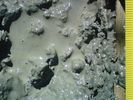 Газовые гидраты на поверхности